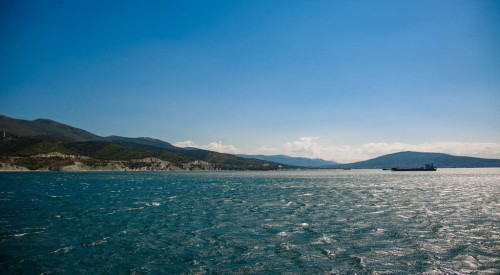 IMG_3411