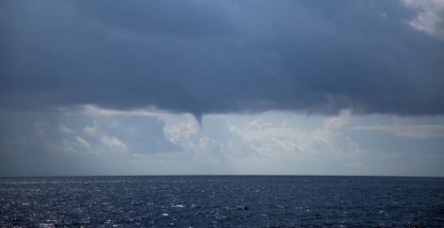 IMG_8795