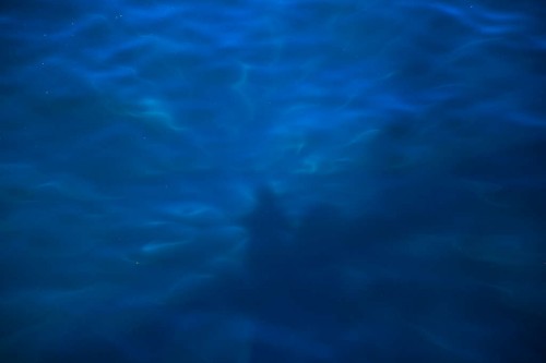 IMG_8368