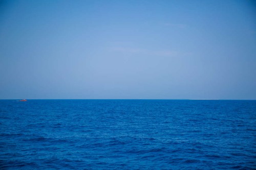 IMG_6526