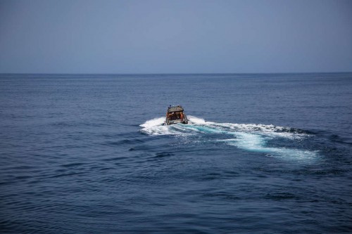 IMG_5979