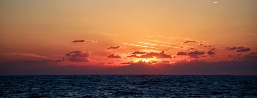 IMG_8558