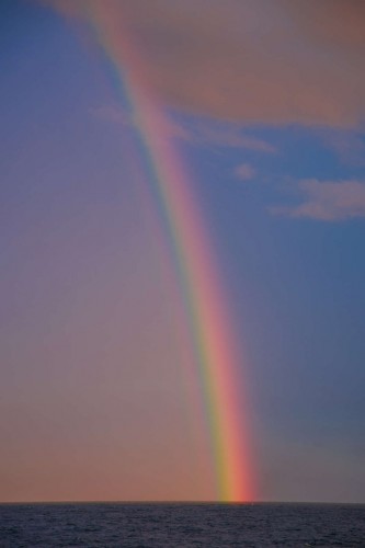IMG_3784