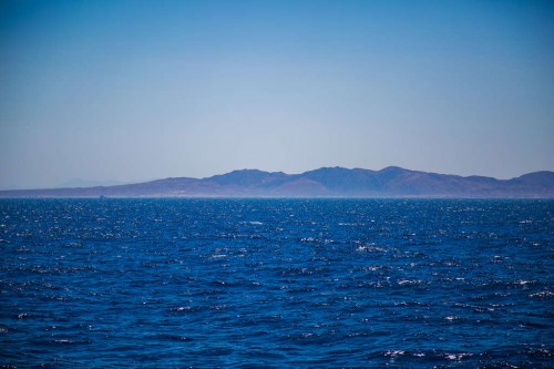 IMG_7467