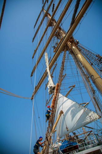 IMG_5333