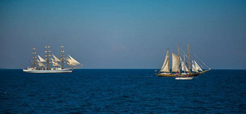 IMG_8100