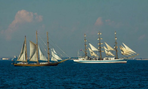 IMG_4529